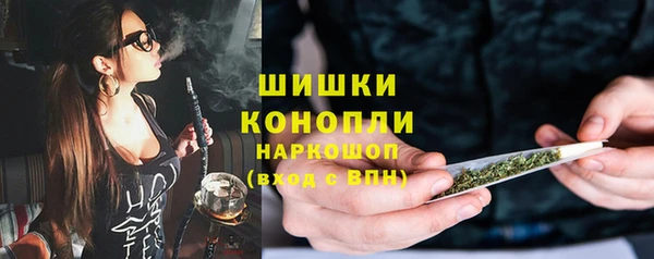 гидра Майский