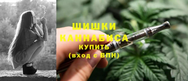 гидра Майский