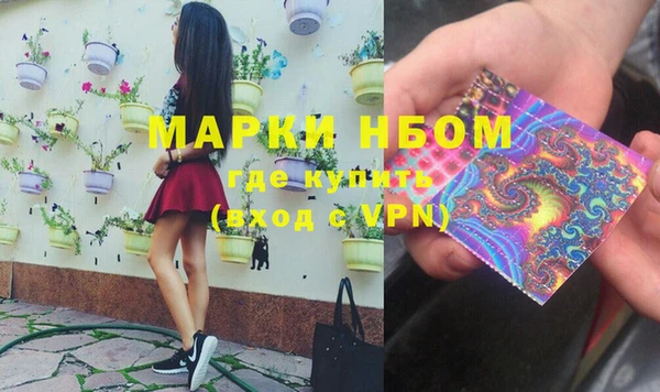 тгк Магас