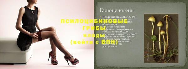 герыч Мегион