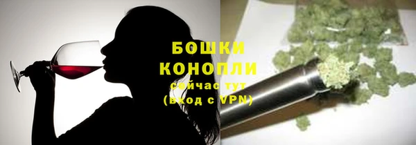 гидра Майский