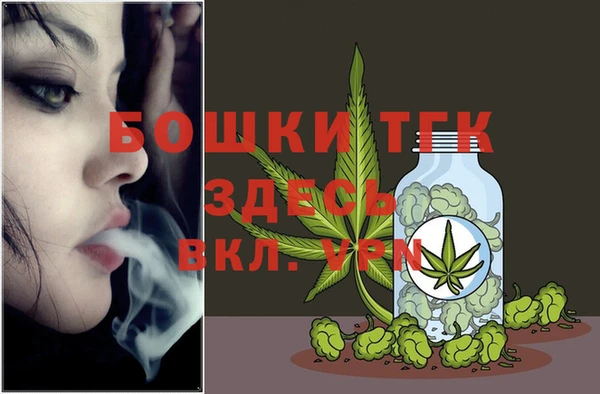 тгк Магас